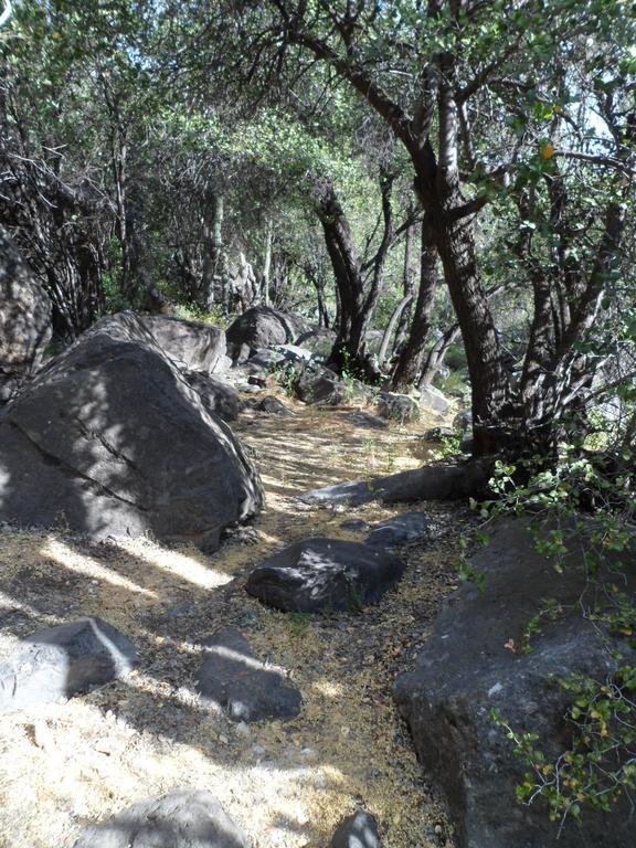 Cabanas El Cielo סאן חוזה דה מאייפו חדר תמונה